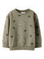 pack_shot-front